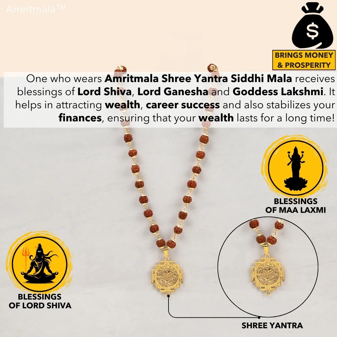 AMRITMALA'S SIDDHI YANTRA MALA (POWERFUL COMBINATION OF REAL RUDRAKSHA & LAXMI YANTRA)