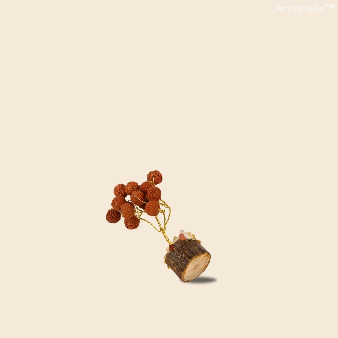 RUDRAKSHA LUCKY TREE BY AMRITMALA