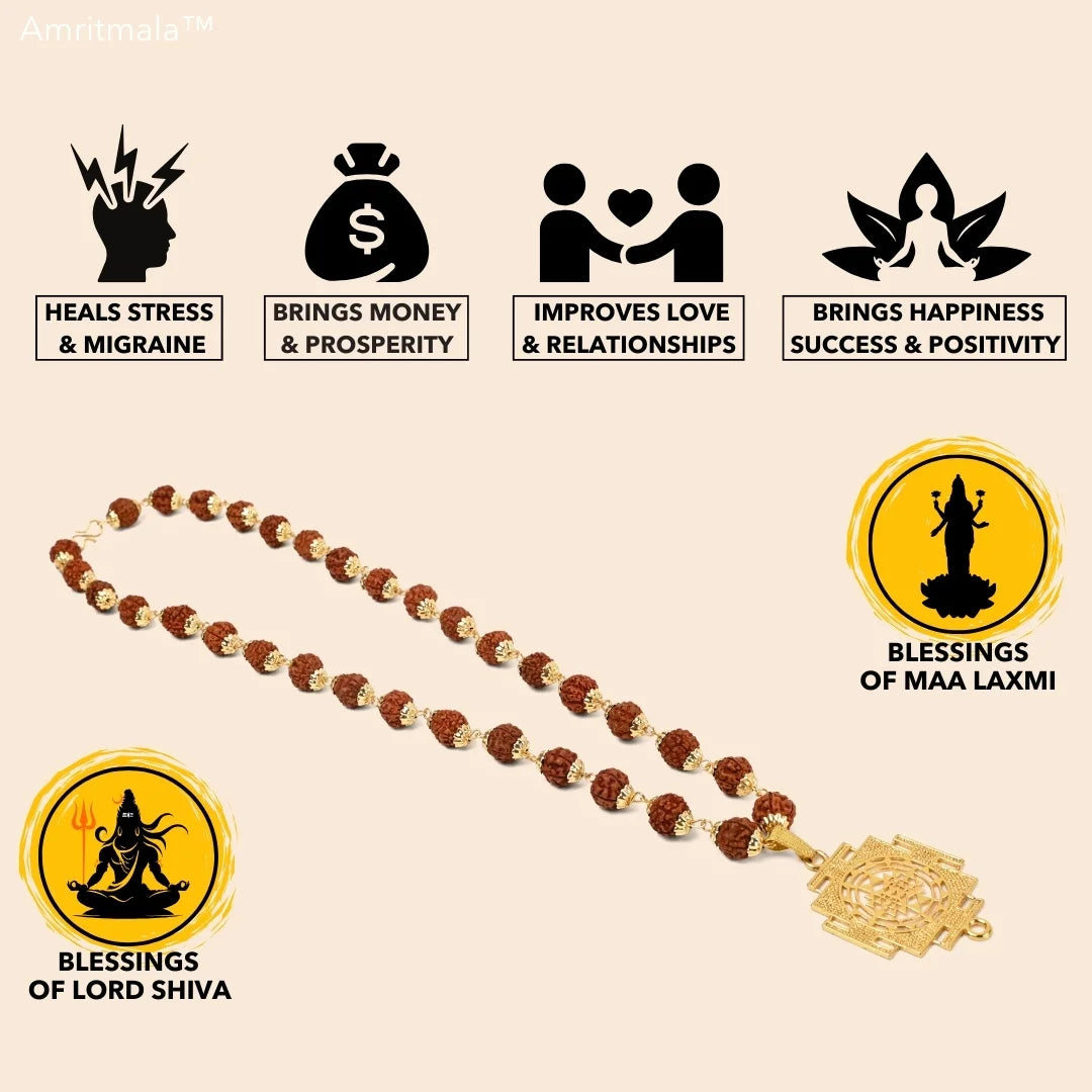 AMRITMALA'S SIDDHI YANTRA MALA (POWERFUL COMBINATION OF REAL RUDRAKSHA & LAXMI YANTRA)