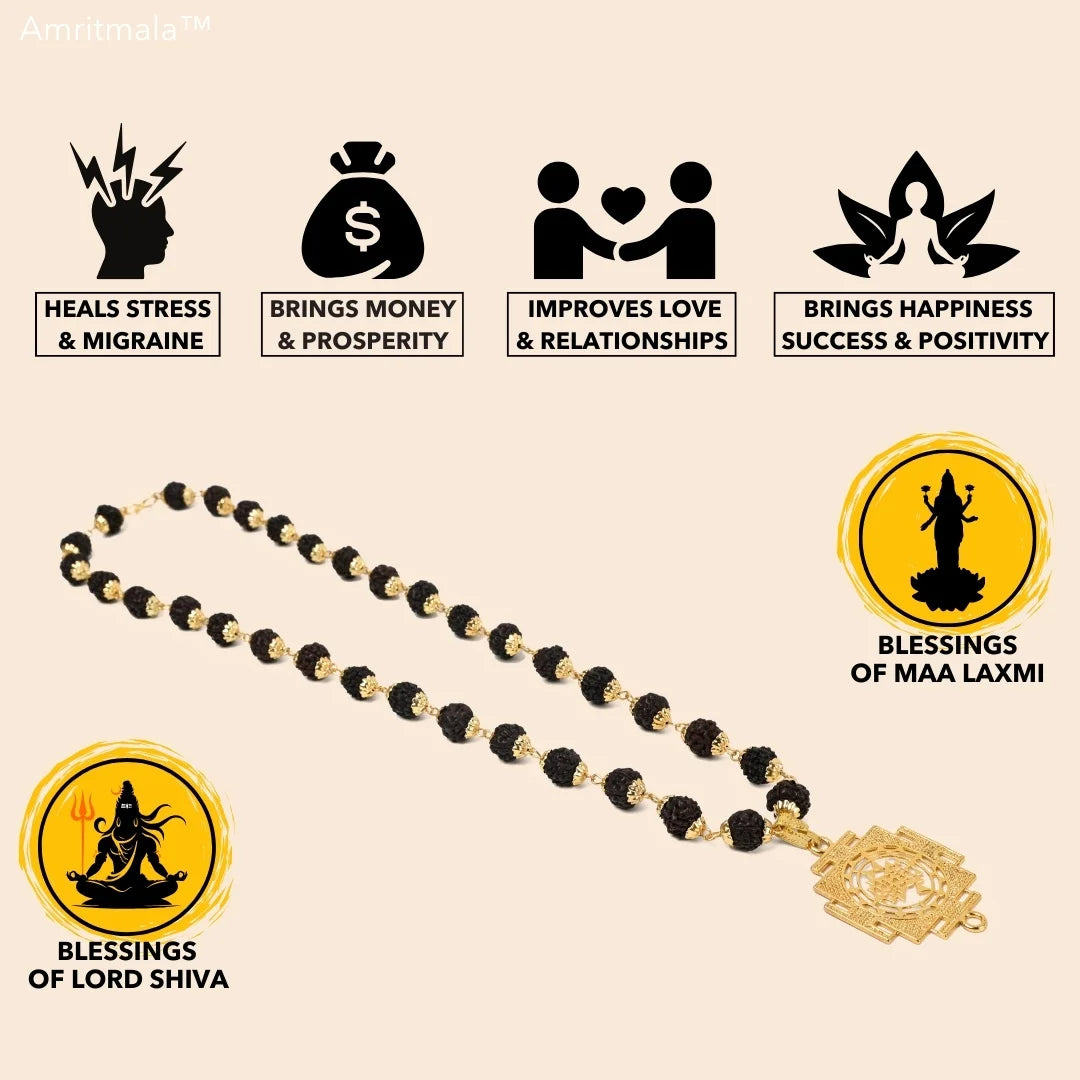 AMRITMALA'S SHREE YANTRA SIDDHI MALA (Black) (Power of Rudraksha and Shree Yantra)