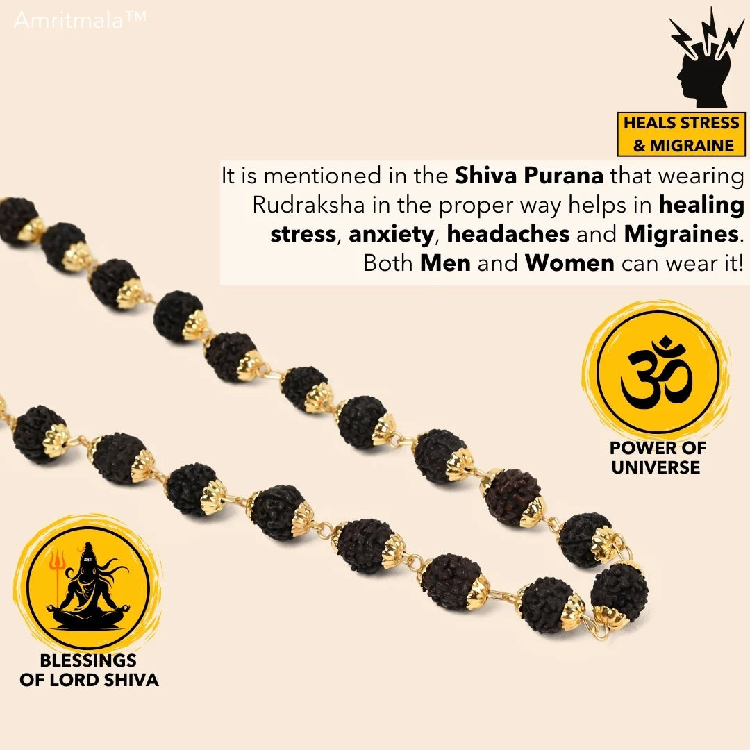 AMRITMALA'S RUDRAKSHA DEVMALA (Black) (Boosts Health & Wealth)