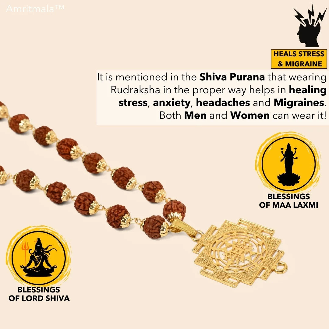 AMRITMALA'S SIDDHI YANTRA MALA (POWERFUL COMBINATION OF REAL RUDRAKSHA & LAXMI YANTRA)