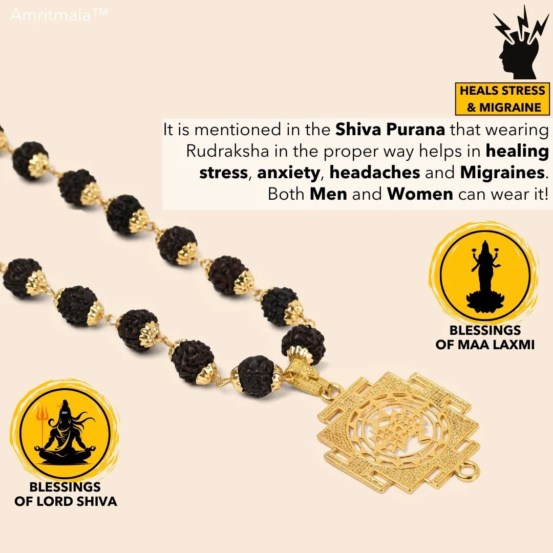 AMRITMALA'S SHREE YANTRA SIDDHI MALA (Black) (Power of Rudraksha and Shree Yantra)