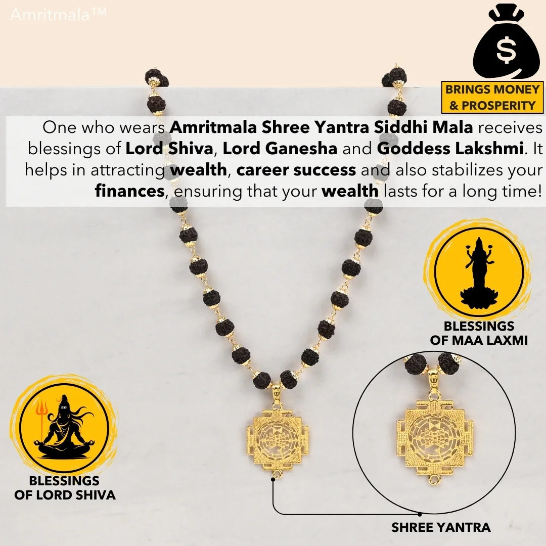 AMRITMALA'S SHREE YANTRA SIDDHI MALA (Black) (Power of Rudraksha and Shree Yantra)