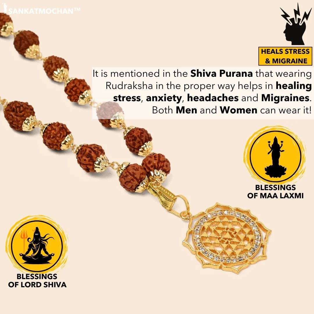 AMRITMALA'S SIDDHI MALA (POWERFUL COMBINATION OF REAL RUDRAKSHA & LAXMI YANTRA)