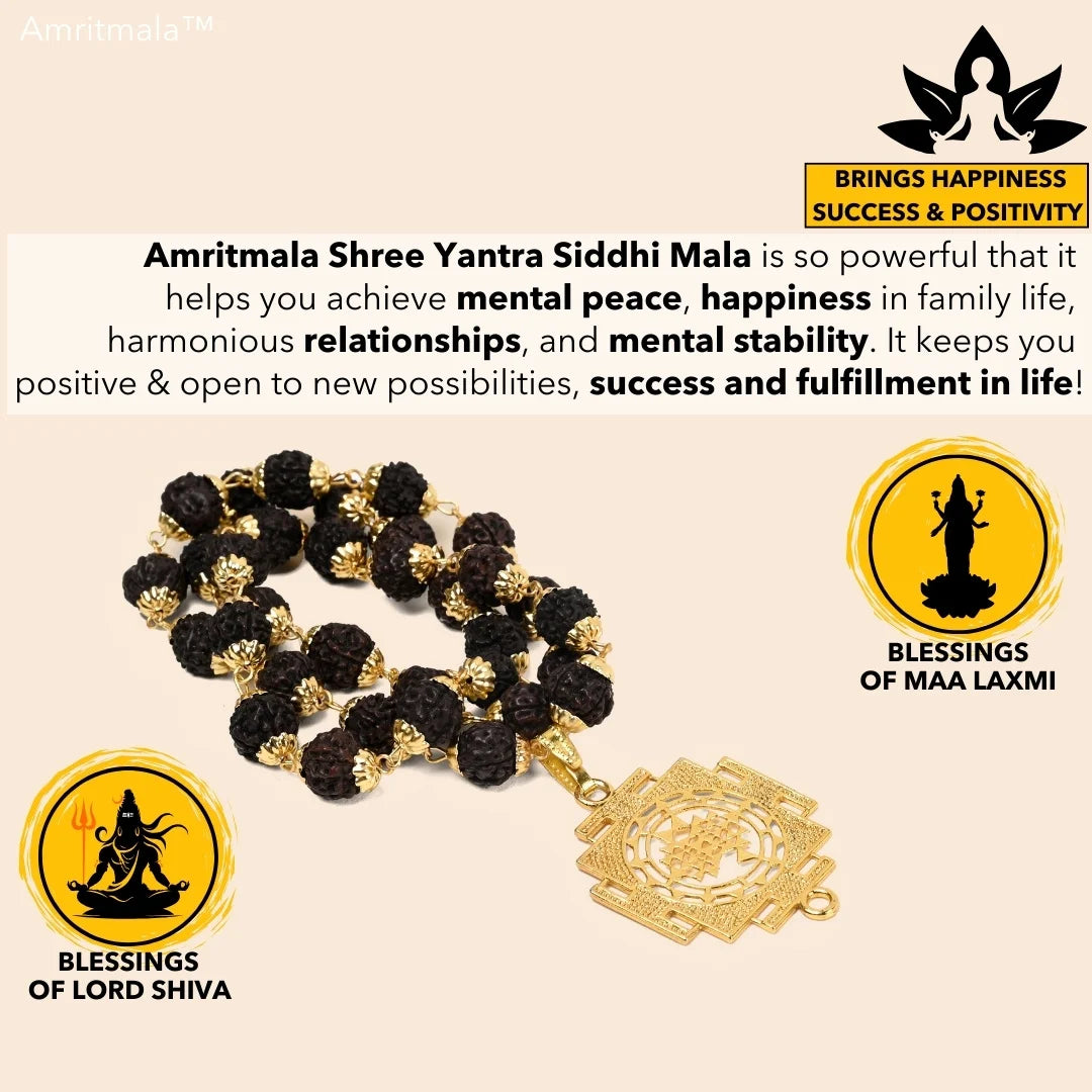 AMRITMALA'S SHREE YANTRA SIDDHI MALA (Black) (Power of Rudraksha and Shree Yantra)