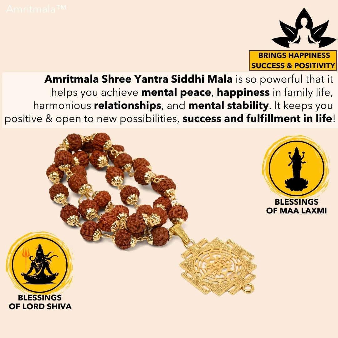 AMRITMALA'S SIDDHI YANTRA MALA (POWERFUL COMBINATION OF REAL RUDRAKSHA & LAXMI YANTRA)