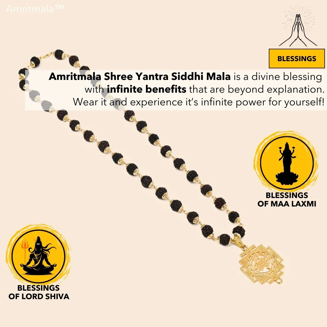 AMRITMALA'S SHREE YANTRA SIDDHI MALA (Black) (Power of Rudraksha and Shree Yantra)