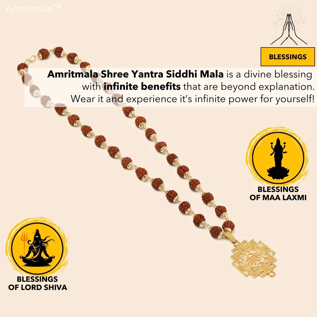 AMRITMALA'S SIDDHI YANTRA MALA (POWERFUL COMBINATION OF REAL RUDRAKSHA & LAXMI YANTRA)