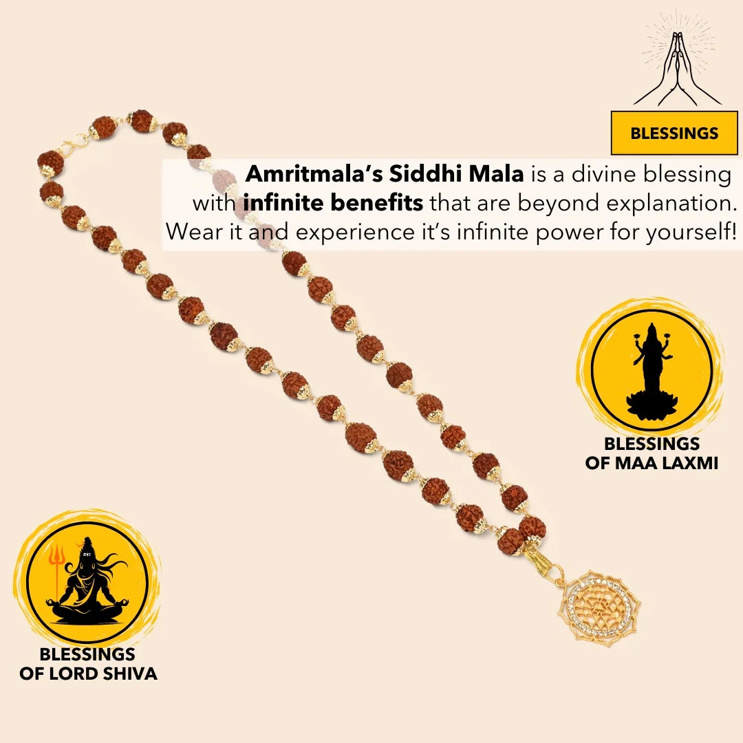 AMRITMALA'S SIDDHI MALA (POWERFUL COMBINATION OF REAL RUDRAKSHA & LAXMI YANTRA)