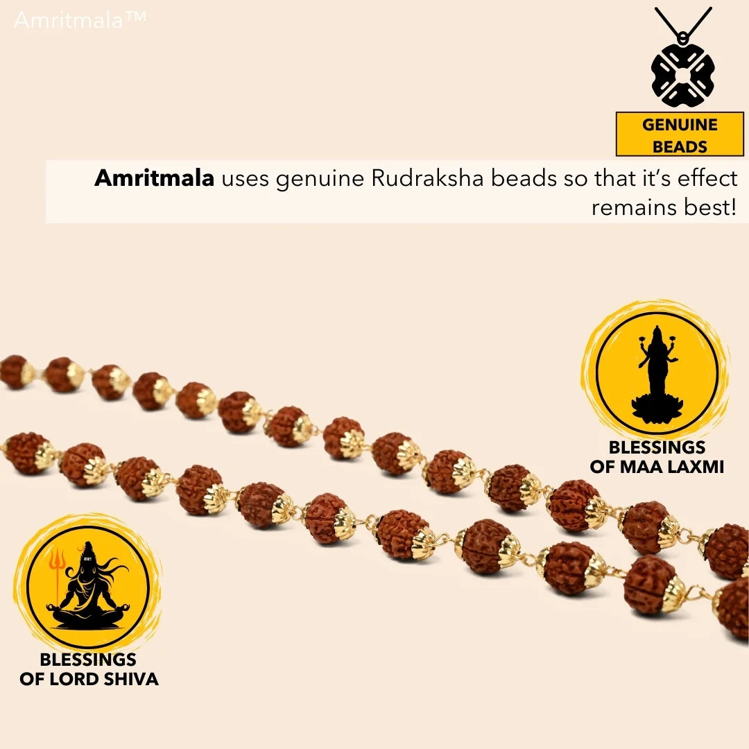 HAMSA LUCKY HANDMALA (Power of Rudraksha & Lucky Hand)