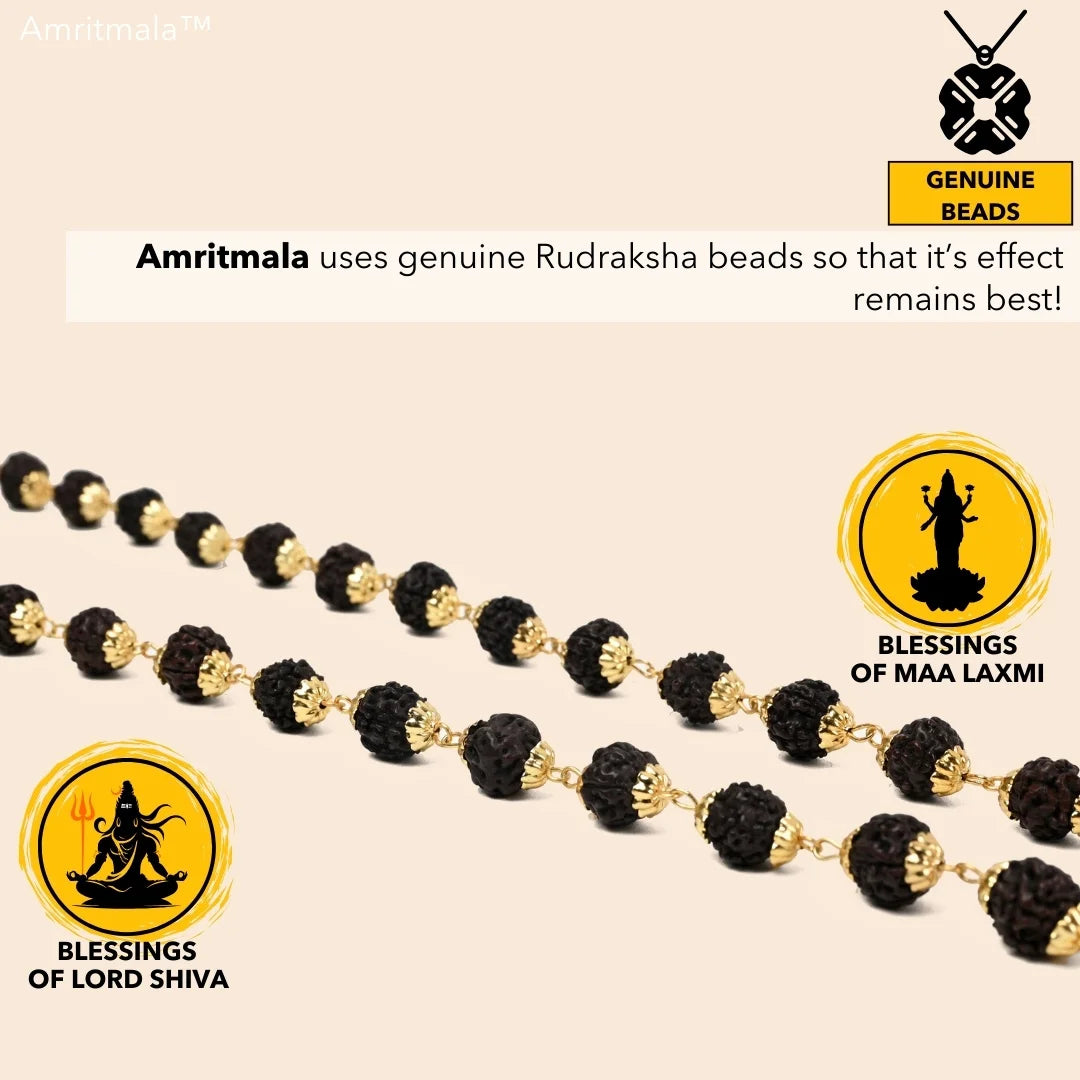 AMRITMALA'S SHREE YANTRA SIDDHI MALA (Black) (Power of Rudraksha and Shree Yantra)