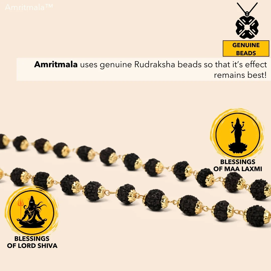 AMRITMALA'S HAMSA LUCKY HANDMALA (Black) (Power of Rudraksha & Lucky Hand)