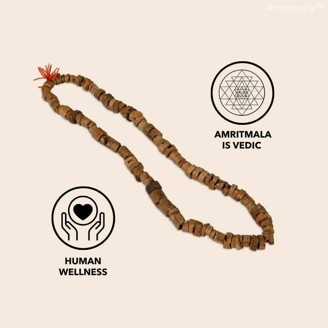 BAHUGUNA AMRITMALA PURE HERB (FOR CERVICAL PAIN, MIGRAINE, NECK PAIN, SHOULDER PAIN, BACK PAIN, SPONDYLITIS ETC.)