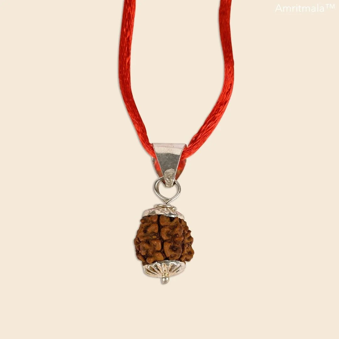 REAL SIX FACE RUDRAKSHA (CERTIFIED) BY AMRITMALA