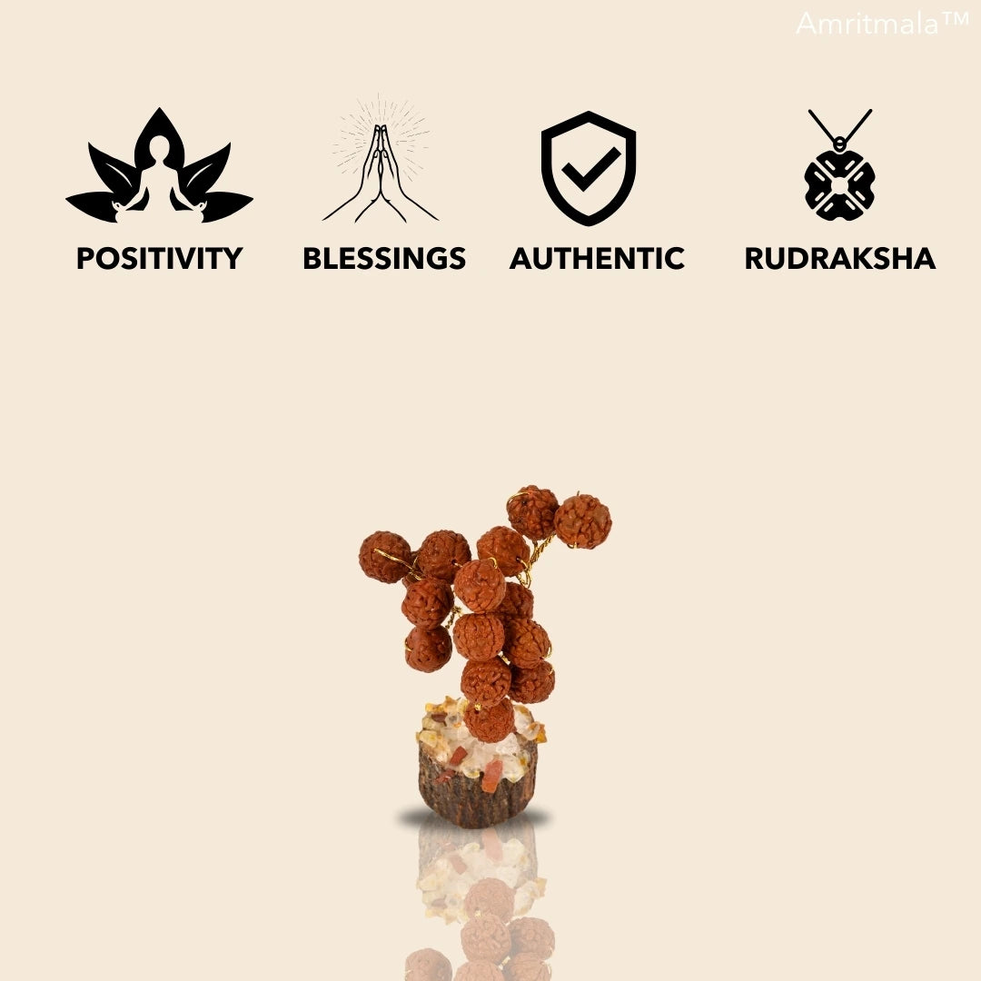 RUDRAKSHA LUCKY TREE BY AMRITMALA